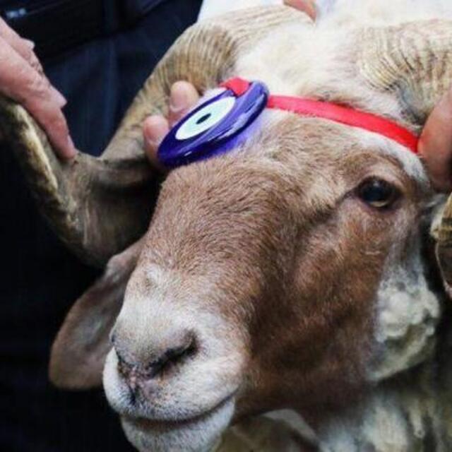 Kurban Bayramı tarihi 2020
