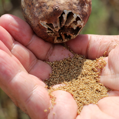 Yerli ve milli! Çiftçilerin yeni alternatifi