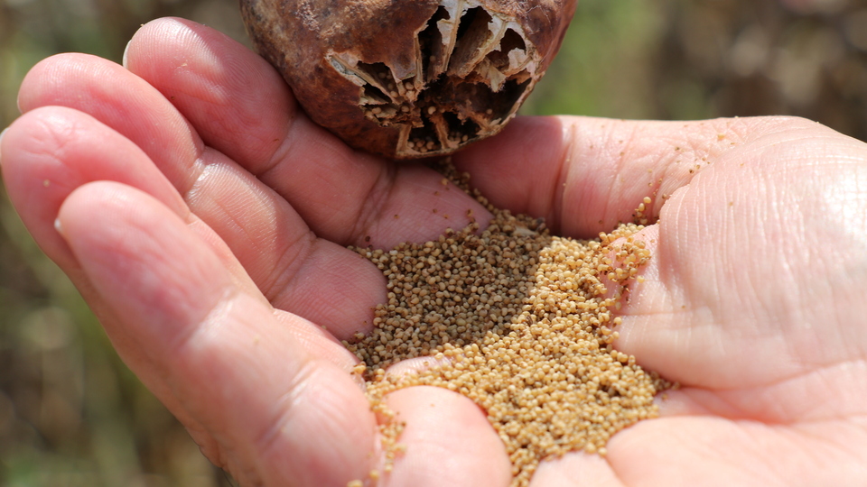 Yerli ve milli! Çiftçilerin yeni alternatifi