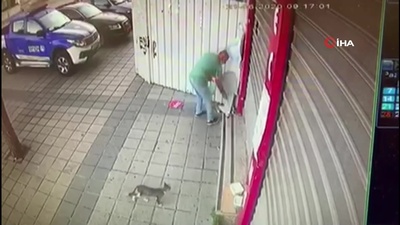 Kedi bile şaştı kaldı!