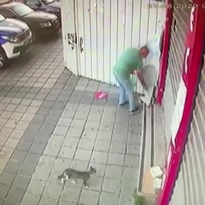 Kedi bile şaştı kaldı!