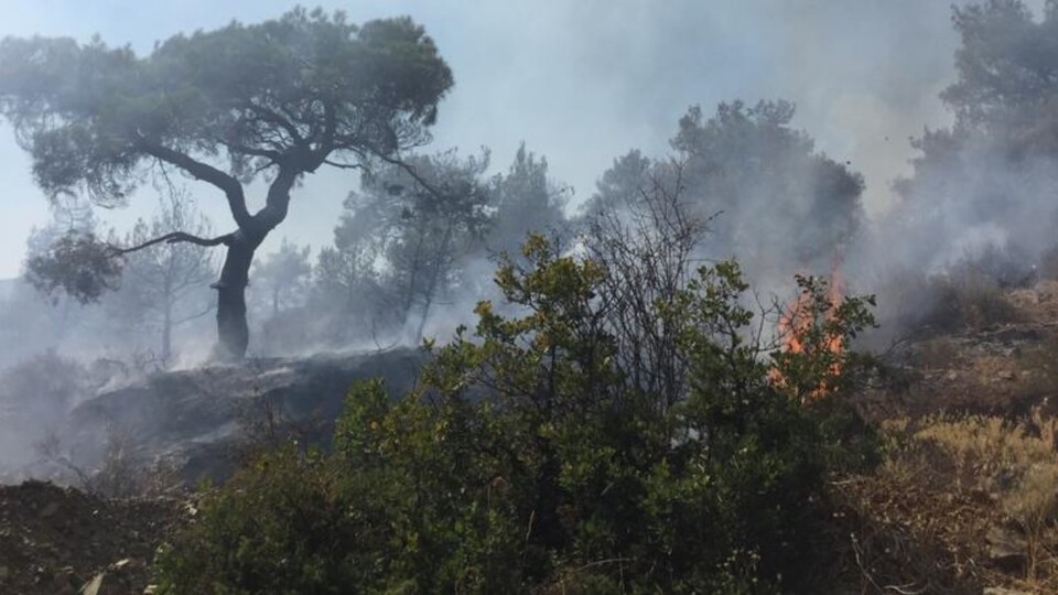 Gaziantep'te orman yangını!