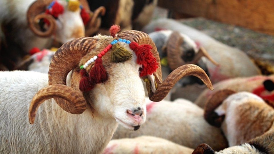 Kurban Bayramı tarihi 2020