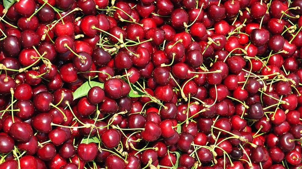 Bakanlıktan ihracat meyvelerine inceleme