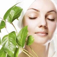 Bitkisel cilt bakım tarifleri