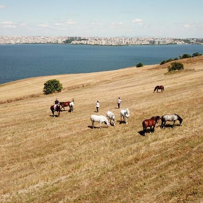 İşte son halleri!