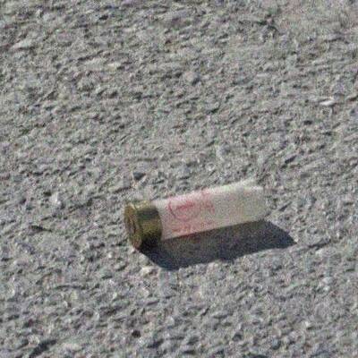 Küçük kızın tüfekle oyunu korkunç bitti