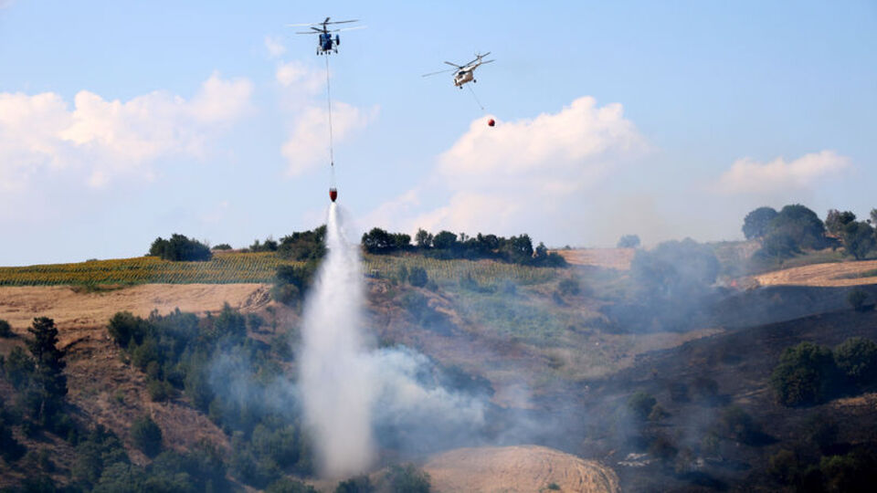 Çanakkale'de orman yangını