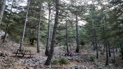 Karadeniz yaylalarını aratmıyor