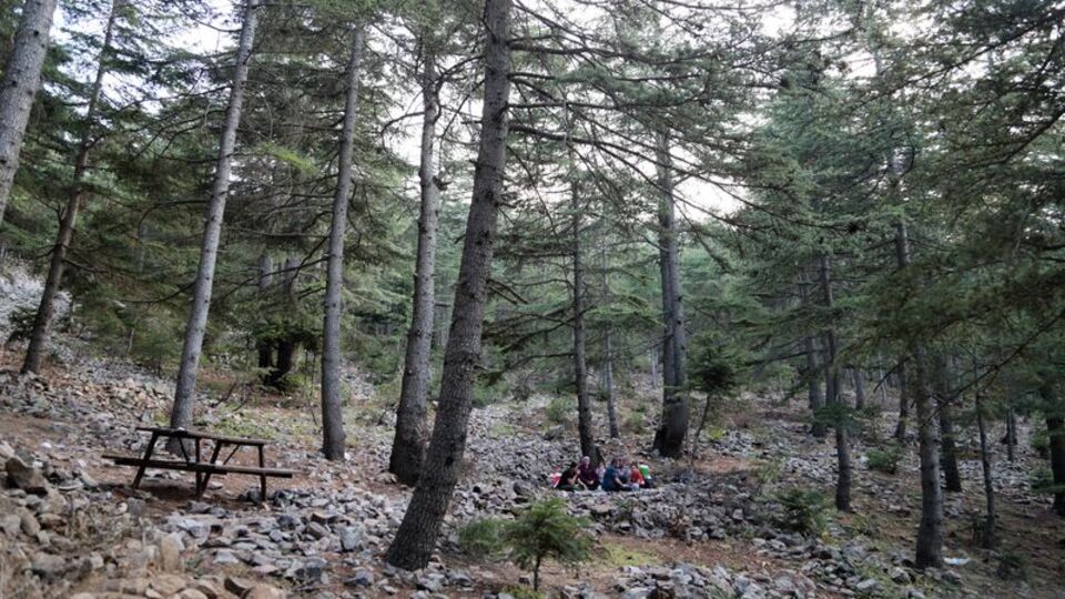 Karadeniz yaylalarını aratmıyor