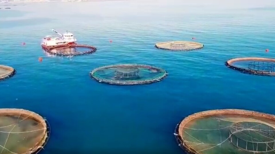 İlk yarıda 77 ülkeye 89 bin 829 ton ihracat