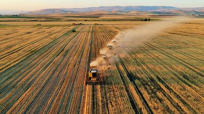 Tarım-GFE mayısta arttı