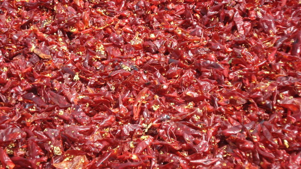 Scoville ölçeği neyi ölçer?