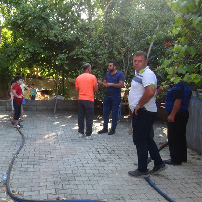 Bıçaklayarak yaraladığı Goldi'yi, gece gelip öldürdü!