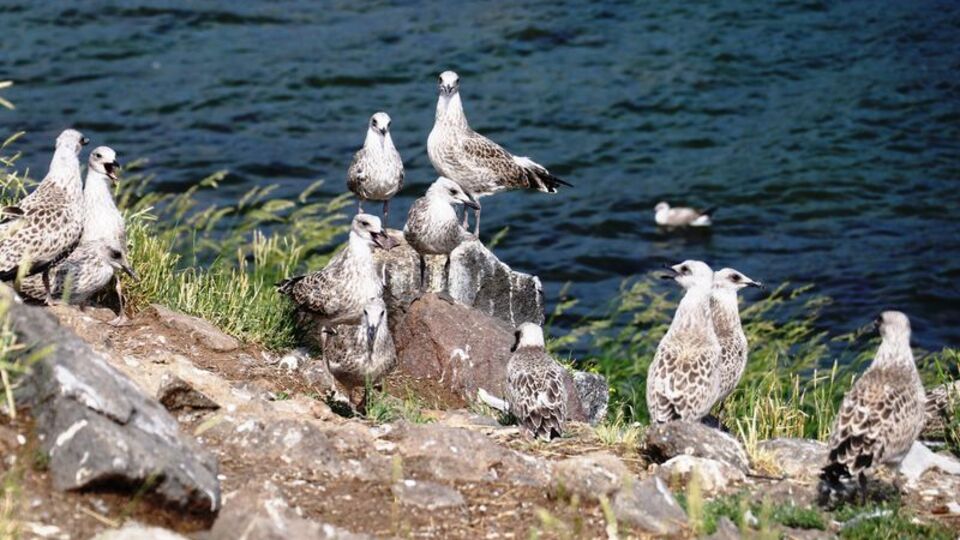 El değmemiş güzellik!