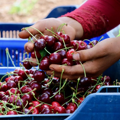 Sezon bitmeden rekor geldi
