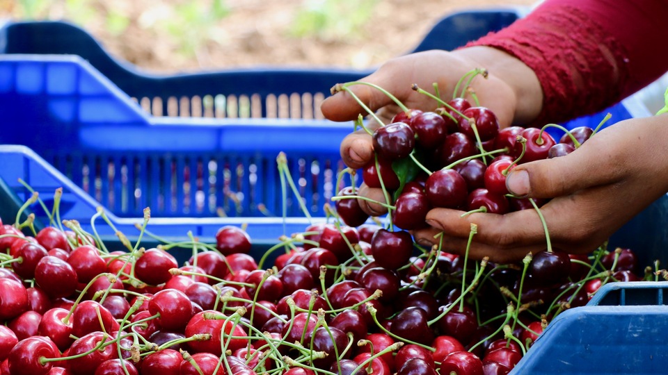 Sezon bitmeden rekor geldi