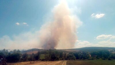 Tekidağ'daki orman yangını kontrol altına alındı
