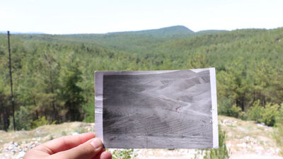Çorak arazi 40 yılda ormana dönüştürüldü