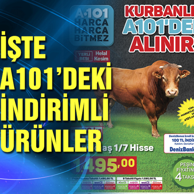 A101 aktüel ürünler kataloğu