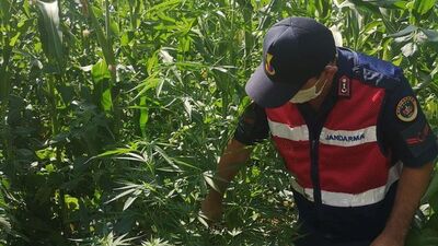 Kocaeli'de uyuşturucu operasyonu! 2 gözaltı