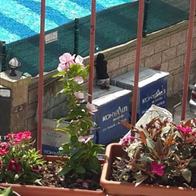 Kağıt toplayıcı çocuk hayaline kavuştu!