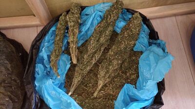 Gümüşhane'de uyuşturucu operasyonu