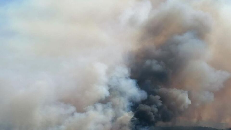 Edirne'de korkutan orman yangını!