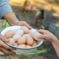Tok tutan 12 kahvaltılık