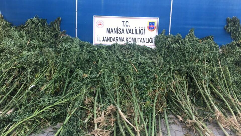 Manisa'da uyuşturucu operasyonu