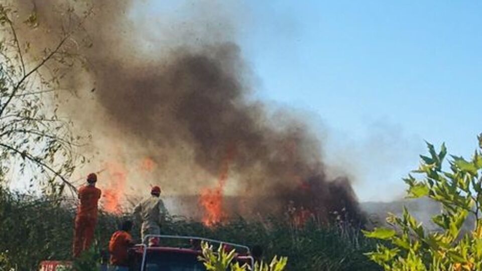İznik'teki yangın büyüyor