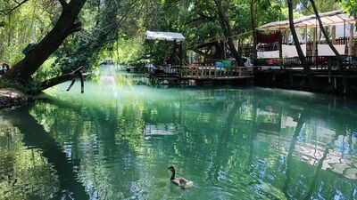 Tatile gidemeyenler Savur'da serinliyor