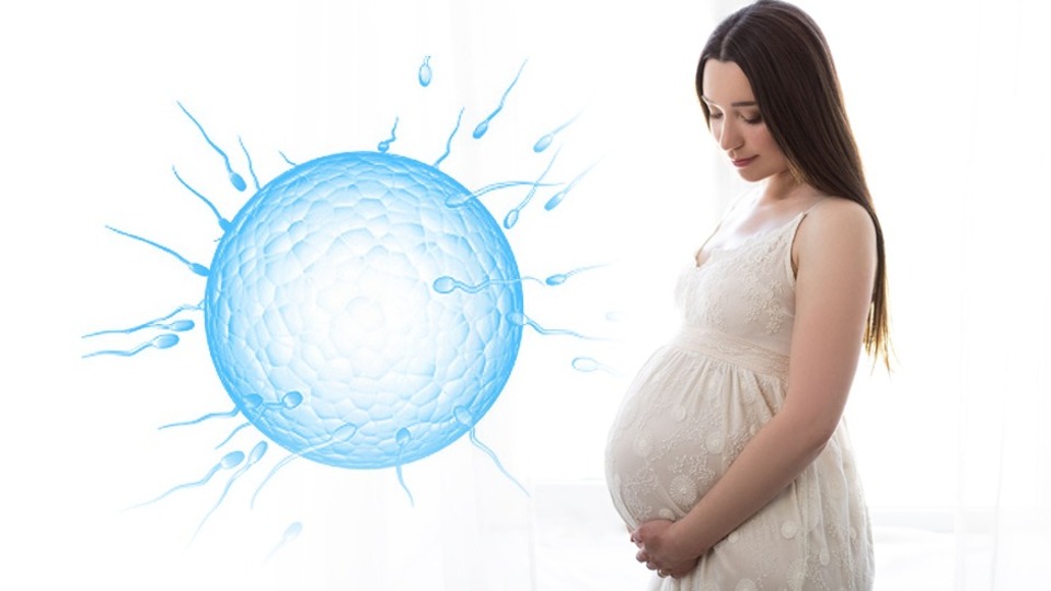 Dünya çapında bu merkez doğurganlık şansını yitirmeye karşı duruyor