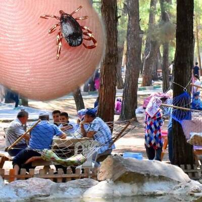 Mesire alanlarındaki 'katile' dikkat!