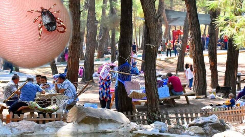 Mesire alanlarındaki 'katile' dikkat!