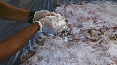 Kurbanda ücretsiz tuz dağıtacaklar