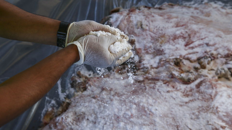 Kurbanda ücretsiz tuz dağıtacaklar