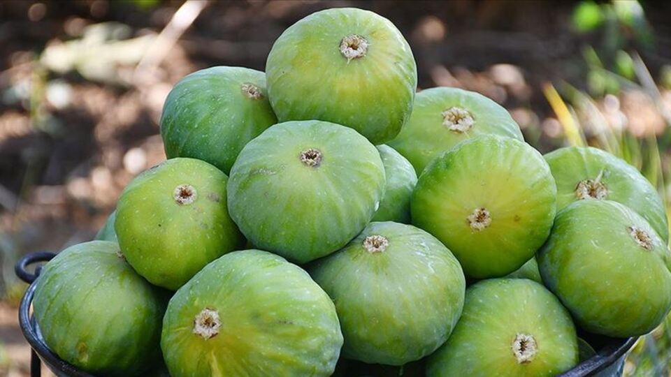 Yaş meyve sebzede rekor geldi