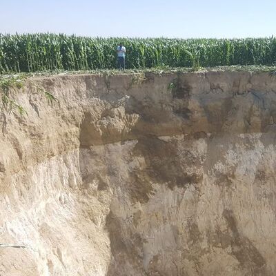 Tarla sularken dehşete düştü!