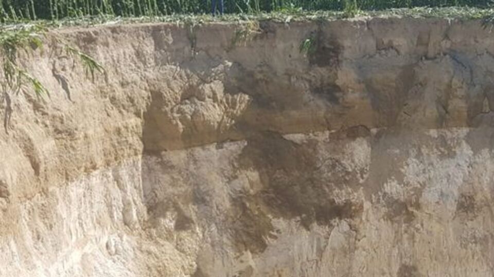 Tarla sularken dehşete düştü!