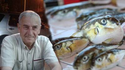 Balon balığı bu sefer öldürdü!