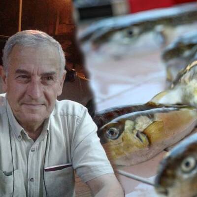 Balon balığı bu sefer öldürdü!