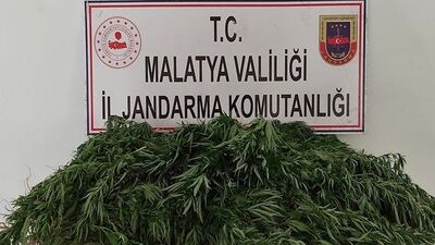 Malatya'da uyuşturucu operasyonu