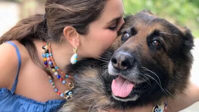 Nero'dan yıllar önce de başka bir köpeği ezmiş