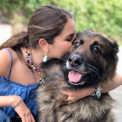 Nero'dan yıllar önce de başka bir köpeği ezmiş