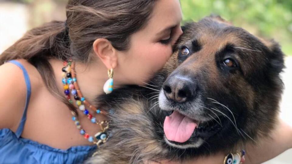 Nero'dan yıllar önce de başka bir köpeği ezmiş