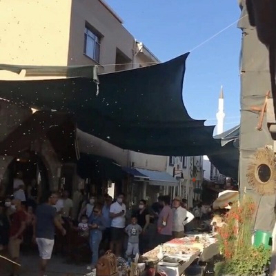 Urla'yı arılar bastı, görenler şaştı kaldı!