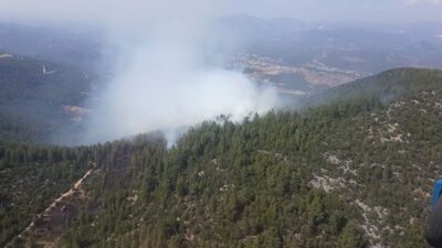 4.2 hektarı kül eden ihmal!