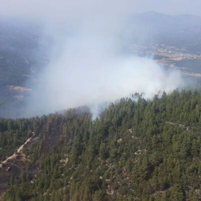 4.2 hektarı kül eden ihmal!