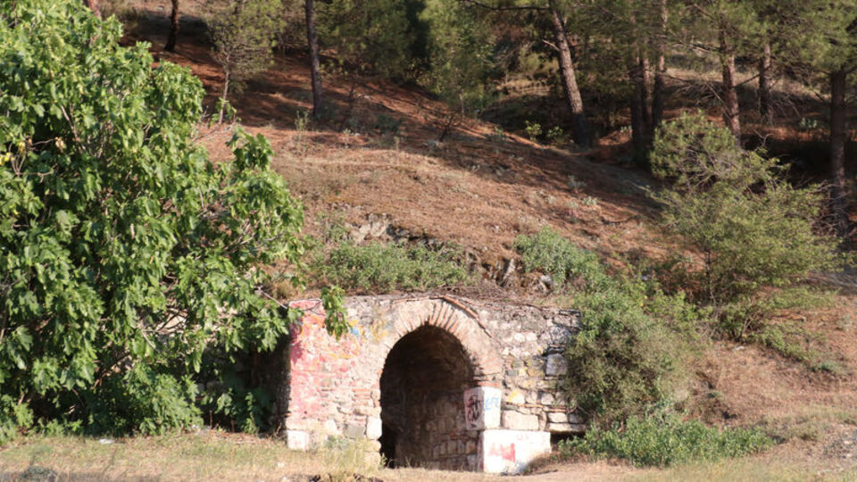 Amasya'dan alıp ülkelerine götürüyorlar